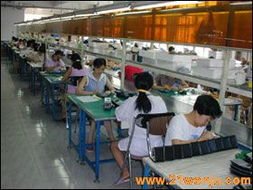 中山莱富安电子有限公司简介