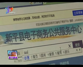 新平电子商务 双翼齐飞助推农特产品与电子产品销售